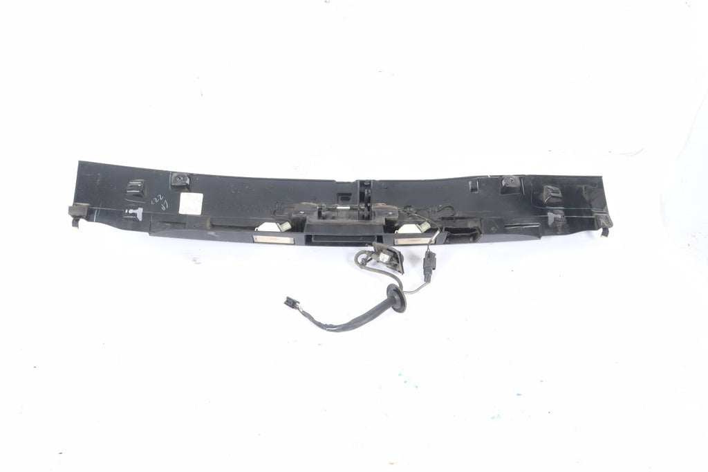 2011-2020 DODGE GRAND CARAVAN TRUNK LIFTGATE LICENSE PLATE GARNISH HANDLE HATCH