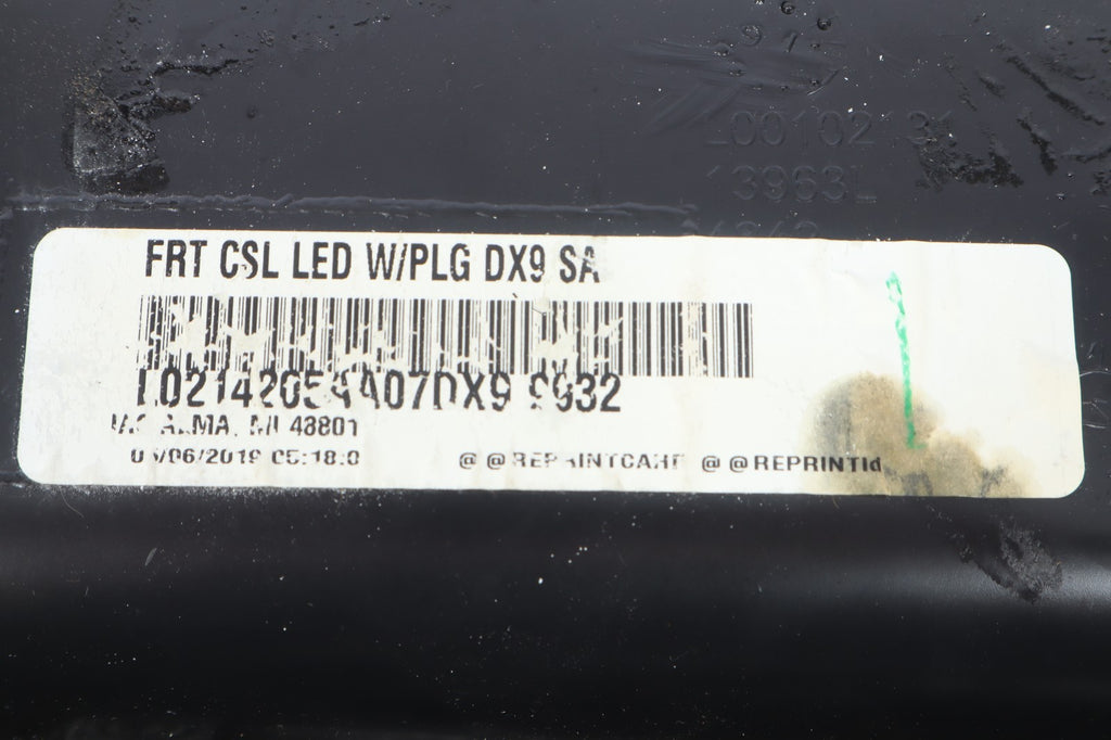 2011-2020 DODGE GRAND CARAVAN ROOF OVERHEAD CONSOLE COVER DOME MAP LIGHT OEM