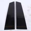 2004-2010 BMW  X3 REAR RIGHT LEFT DOOR PANEL MOLDING TRIM OEM