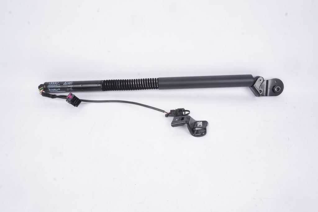 2012-2018 AUDI A7 S7 RS7 REAR TRUNK HATCH LIFT GATE STRUT SHOCK CYLINDER SET OEM