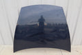 2003-2010 Porsche Cayenne 955 957 Hood Bonnet Panel Shell Blue OEM