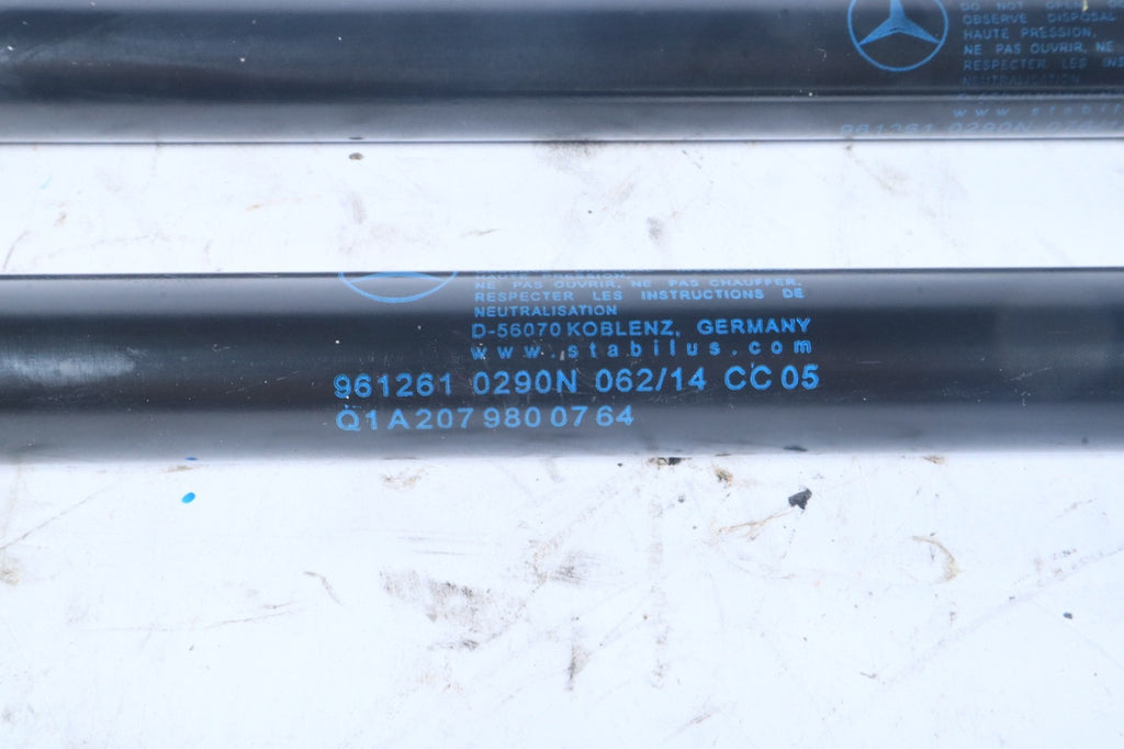 10-17 Mercedes E350 Front Hood Bonnet Shock Strut Support SET OEM A2079800764