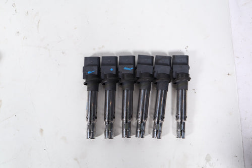 2003-2006 PORSCHE CAYENNE ENGINE IGNITION COIL PACK OEM GN10443