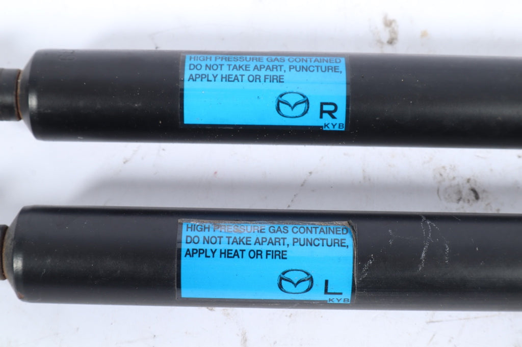 2007-2015 MAZDA CX-9 REAR TAILGATE TRUNK LIFT STRUTS SHOCK PAIR OEM