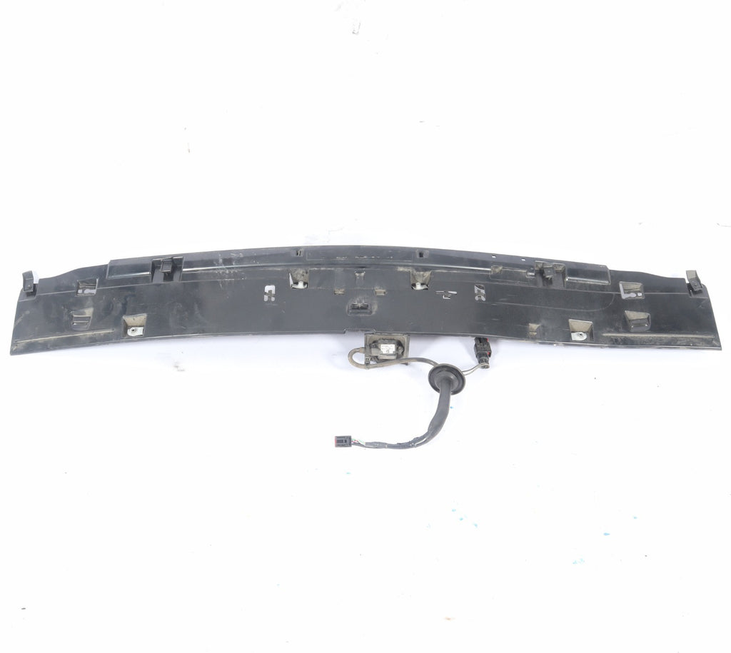 2011-2020 DODGE GRAND CARAVAN TRUNK LIFTGATE LICENSE PLATE GARNISH HANDLE HATCH