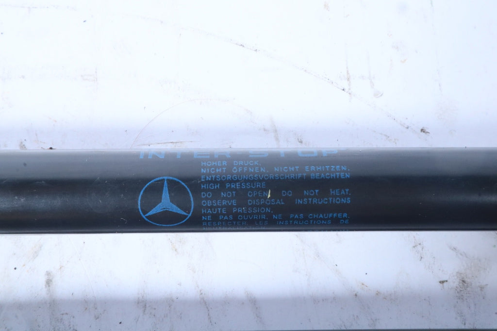 10-17 Mercedes E350 Front Hood Bonnet Shock Strut Support SET OEM A2079800764
