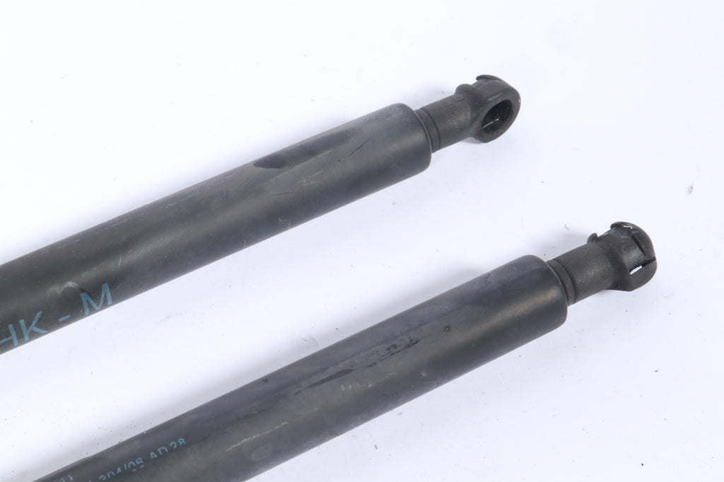 2004-2010 BMW X3 E83 PAIR OF TAILGATE GAS STRUTS SET 3414711 OEM