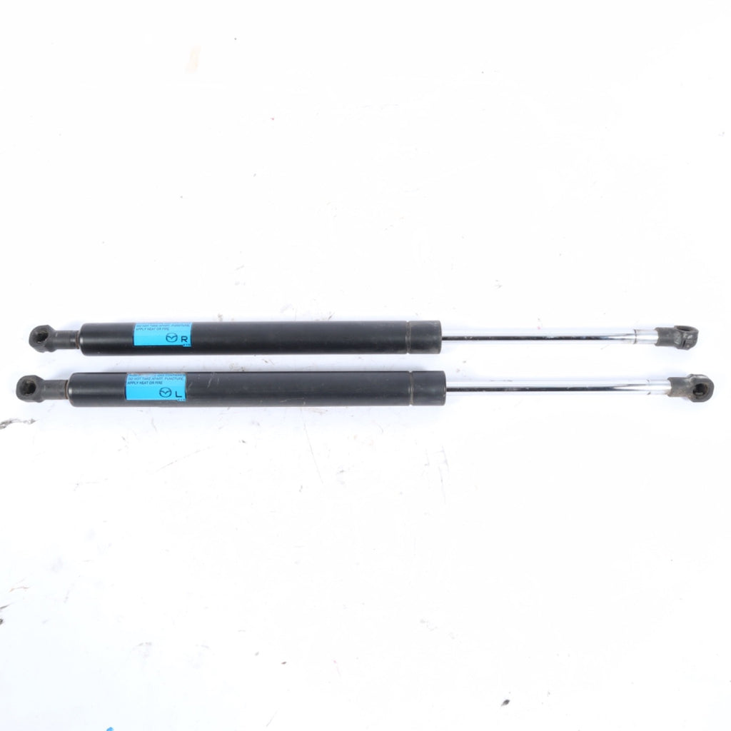 2007-2015 MAZDA CX-9 REAR TAILGATE TRUNK LIFT STRUTS SHOCK PAIR OEM