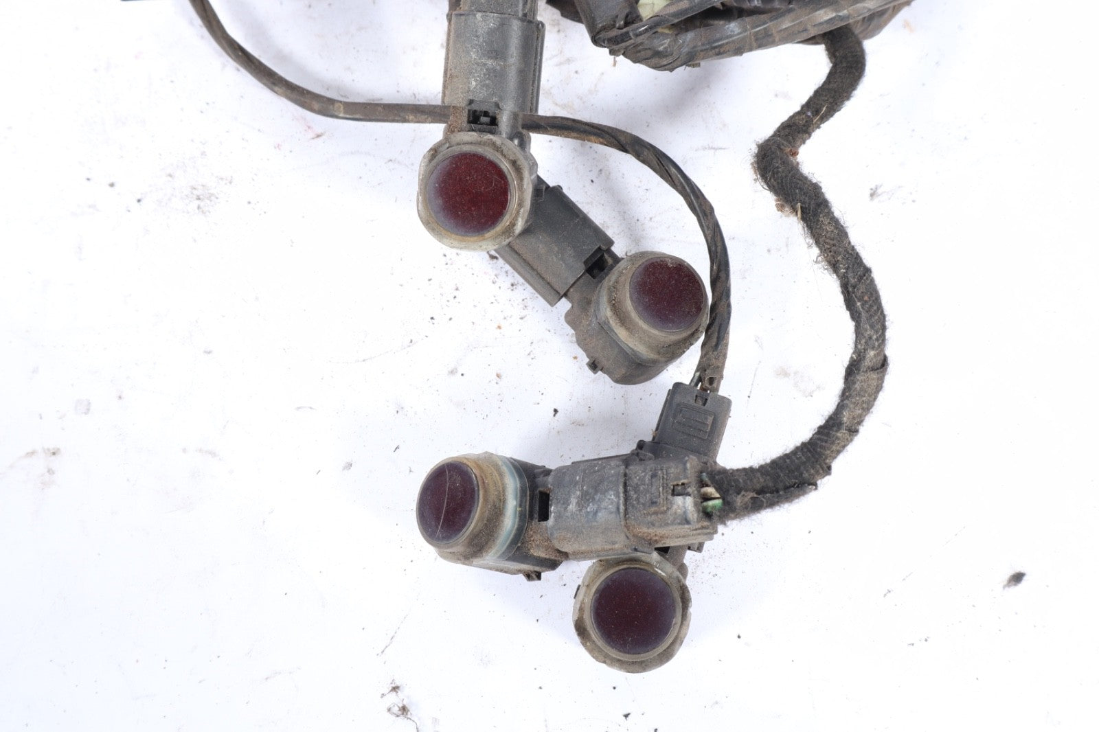 2010-2011  Ford Taurus Rear Bumper Parking Aid System Wiring OEM