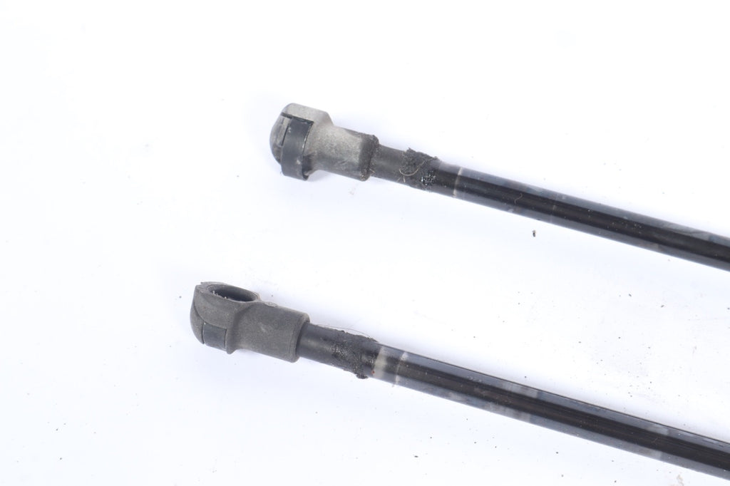 2004-2010 BMW X3 E83 PAIR OF TAILGATE GAS STRUTS SET 3414711 OEM