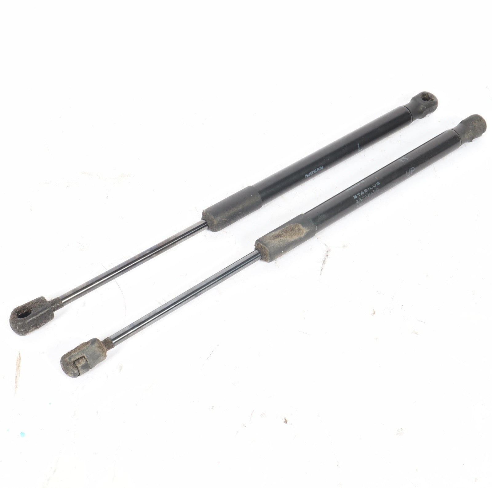 2012 - 2016 Nissan Leaf Rear Tailgate Door Gas Spring OEM